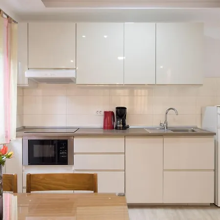 Διαμέρισμα Morozin *