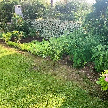 아파트 Morozin 크르크