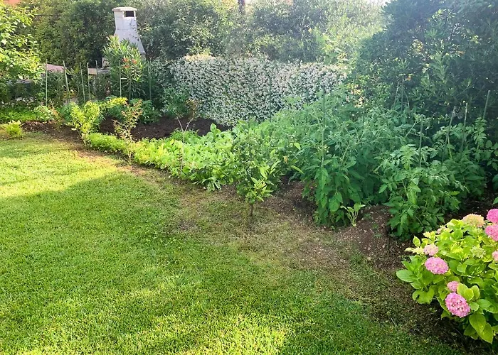 아파트 Morozin 크르크